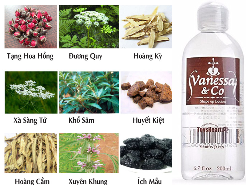 gel-boi-tron-tinh-duc-vanessa-co-nhat-200ml-1